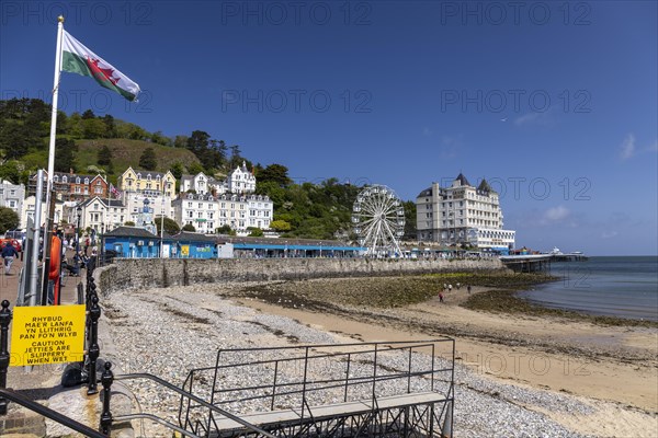 Welsh Flag Promenade