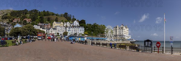 Welsh Flag Promenade