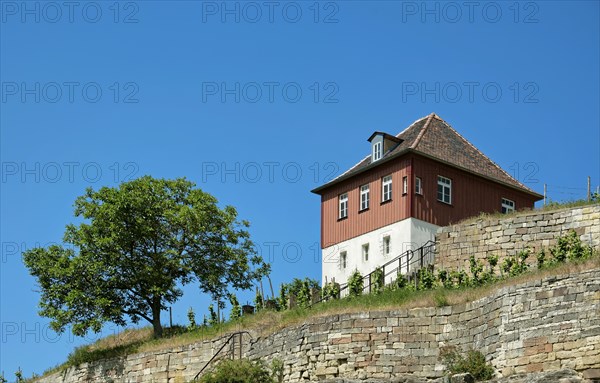 Etching house at the Max-Klinger vineyard