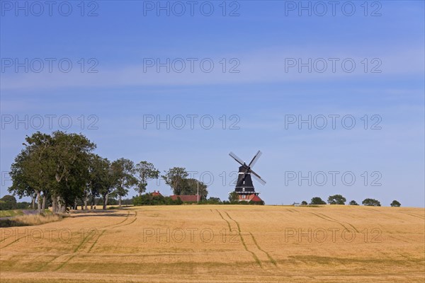 Traditional windmill in field at Krageholm