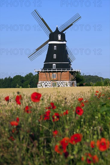 Traditional windmill in field at Krageholm