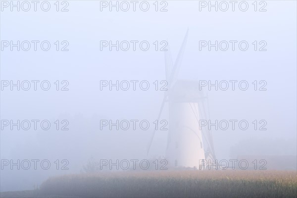 Van Vlaenderensmolen in early morning mist