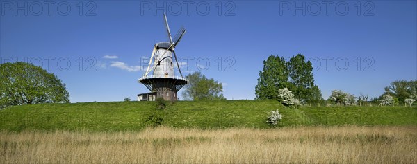 Windmill De Koe