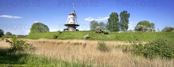 Windmill De Koe