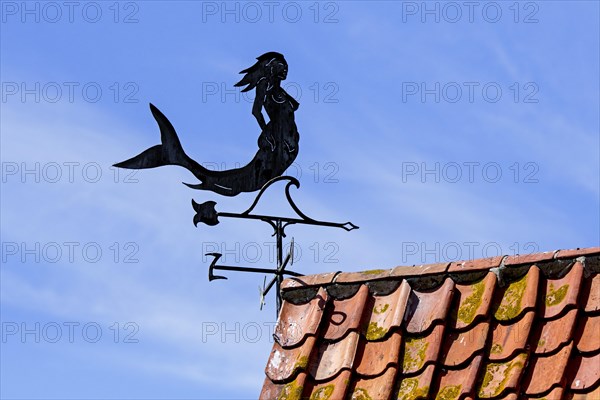 Decorative vintage metal mermaid windvane