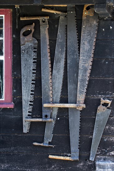 Collection of antique two-man saws and vintage crosscut saws