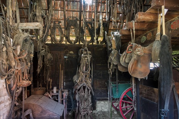 Interior of stable showing old saddles and vintage horse collars at the open air museum Bachten de Kupe