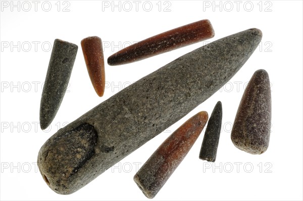 Fossil guards of belemnites