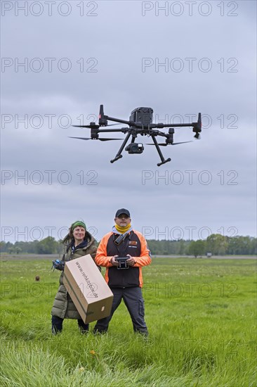 Rescue team operating professional drone to locate roe deer fawns hidden in grass with thermal imaging camera before mowing grassland in spring
