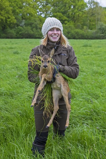 Rescue team removing hidden roe deer fawn