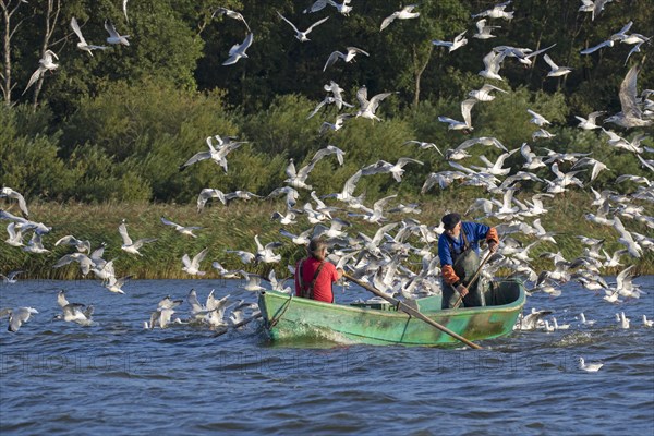 Two fishermen in rowboat