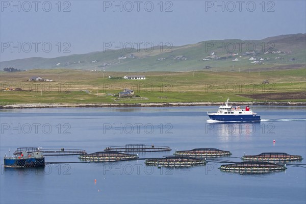 Ferry boat Linga sailing past sea cages