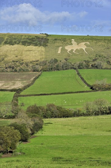 The Osmington White Horse