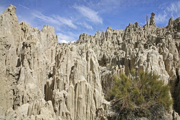 Eroded limestone rock formations in the Valley of the Moon