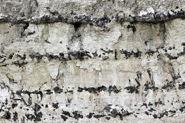 Layers of flint