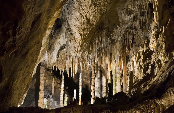 Stalactites and stalagmites in limestone cave of the Caves of Han-sur-Lesse