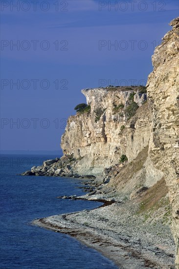 Limestone cliff Högklint