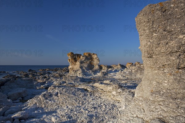 Limestone sea stacks