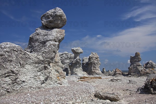 Limestone sea stacks