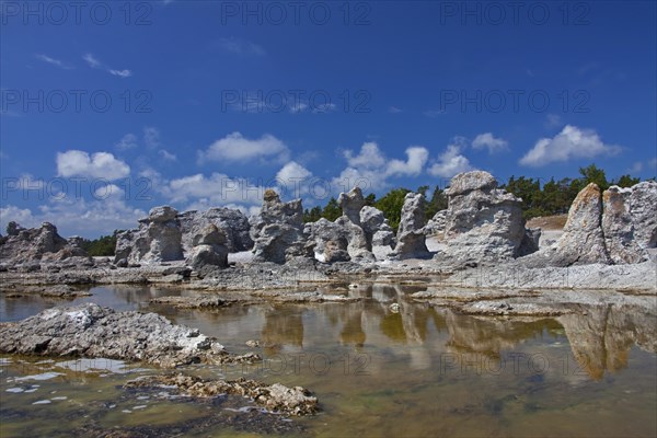 Limestone sea stacks