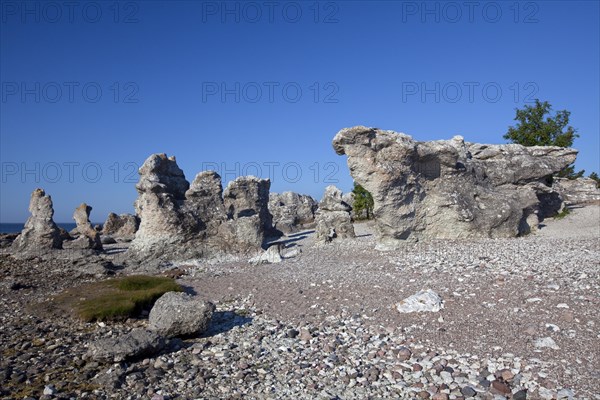 Limestone sea stacks