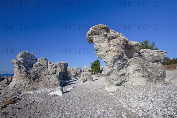 Limestone sea stacks