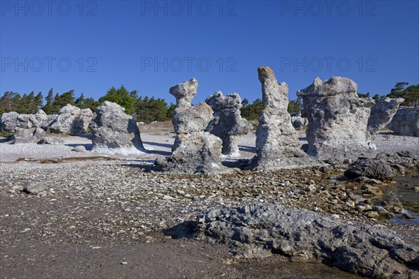 Limestone sea stacks