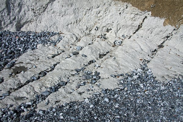 Chalk cliff showing layers of flint rock in Jasmund National Park on Rugen Island on the Baltic Sea