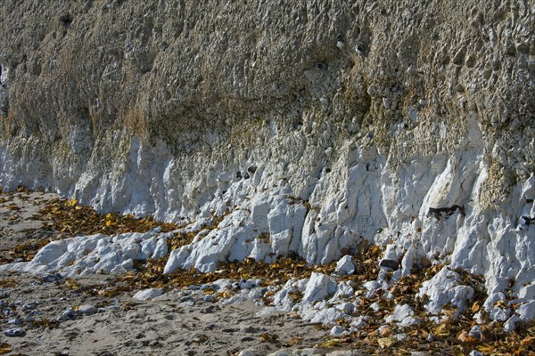 Chalk cliff in Jasmund National Park on Rugen Island on the Baltic Sea