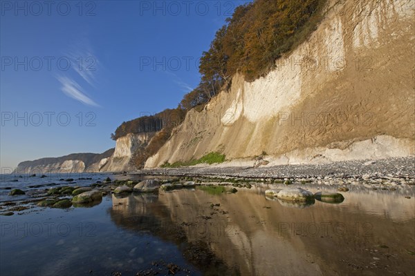 Chalk cliffs in Jasmund National Park on Rugen Island on the Baltic Sea