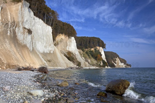 Chalk cliffs in Jasmund National Park on Rugen Island on the Baltic Sea