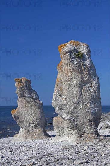 Limestone sea stacks