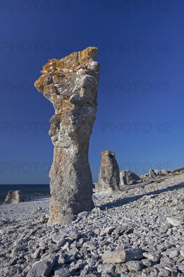 Limestone sea stacks