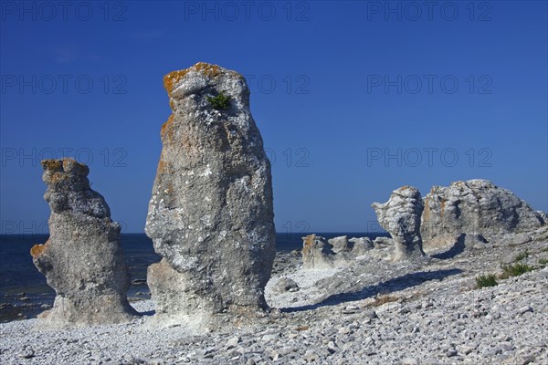 Limestone sea stacks