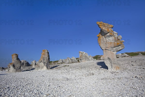 Limestone sea stacks