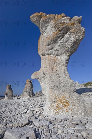 Limestone sea stacks