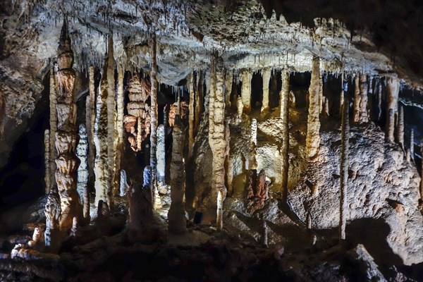 Straw stalactites