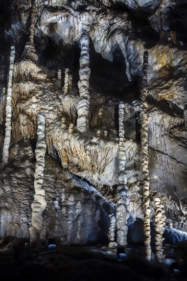 Stalagmites in limestone cave of the Caves of Han-sur-Lesse