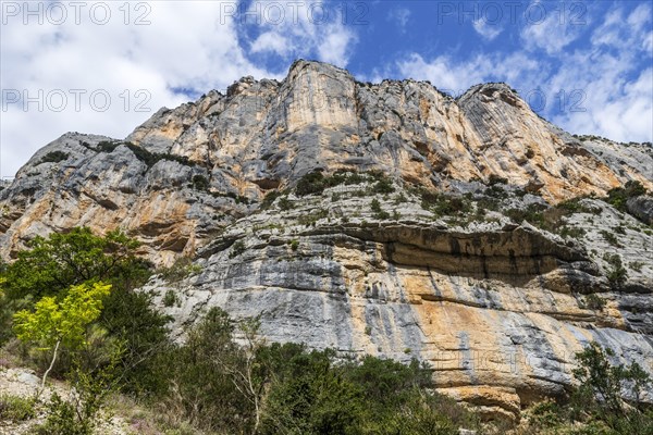 Vertical limestone cliff seen from the Sentier Martel in the Gorges du Verdon