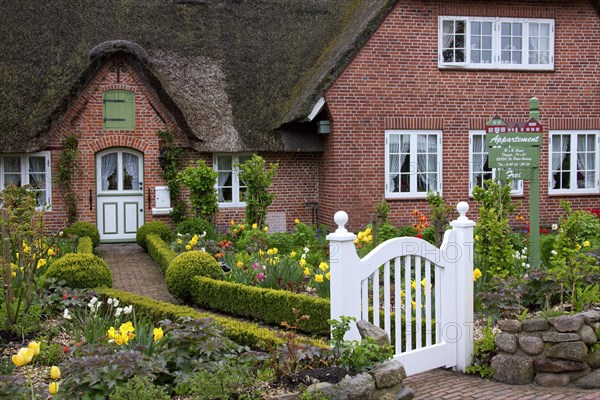 Colourful flowers in garden of Frisian traditional house with straw-thatched roof at Sankt Peter-Ording