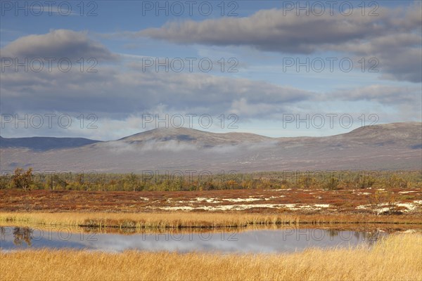 Lake in marshland of the Fokstumyra Nature Reserve in autumn