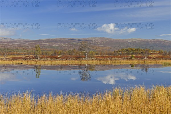 Lake in marshland of the Fokstumyra Nature Reserve in autumn