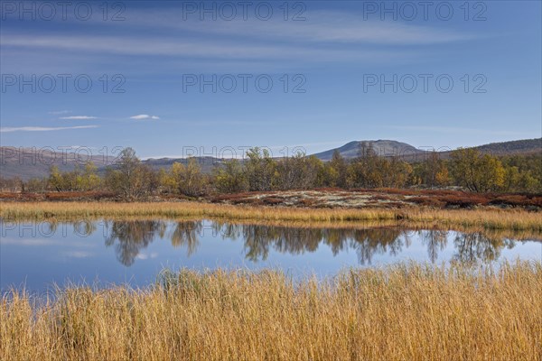 Lake in marshland of the Fokstumyra Nature Reserve in autumn