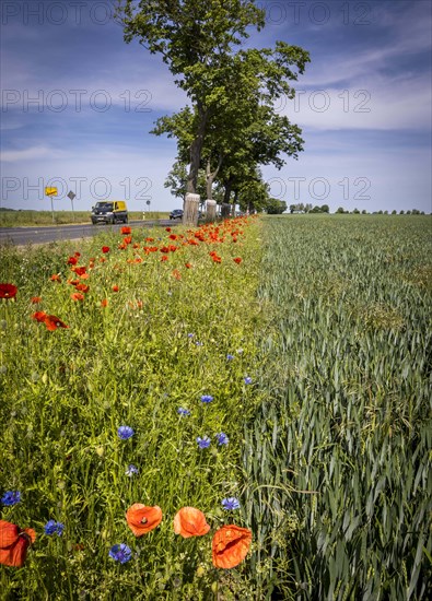 Region Altmark in Saxony-Anhalt