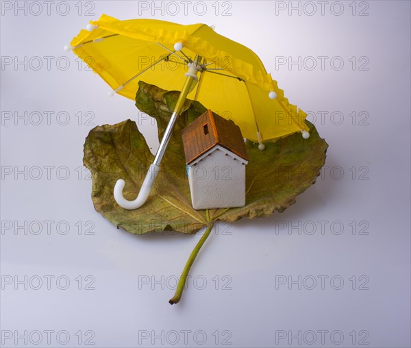 Little model house placed on an Autumn leaf and under an umbrella