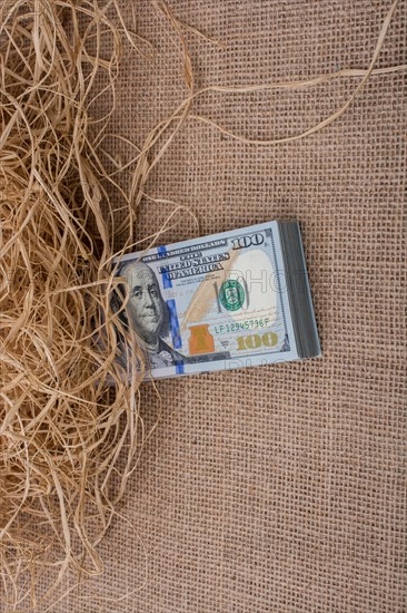 Banknote bundle of US dollar in a straw pile on canvas