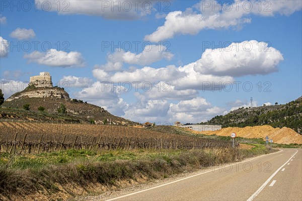 Vineyards around the Real Castillo de Curiel in the Ribera del Duero denomination of origin area in the province of Valladolid in Spain