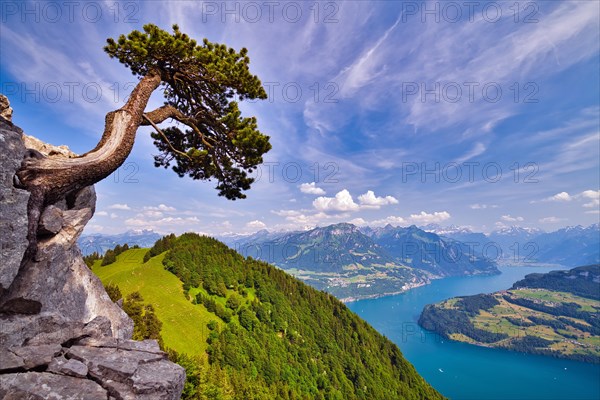 View of the Lake of Uri and the Central Swiss Pre-Alps