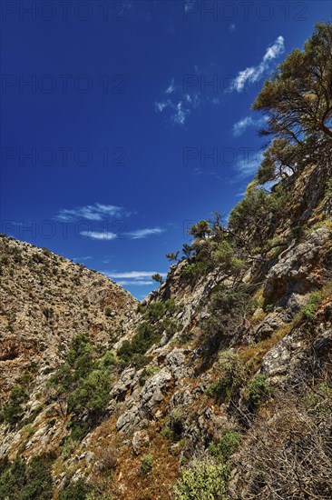 Typical Greek or Cretan landscape