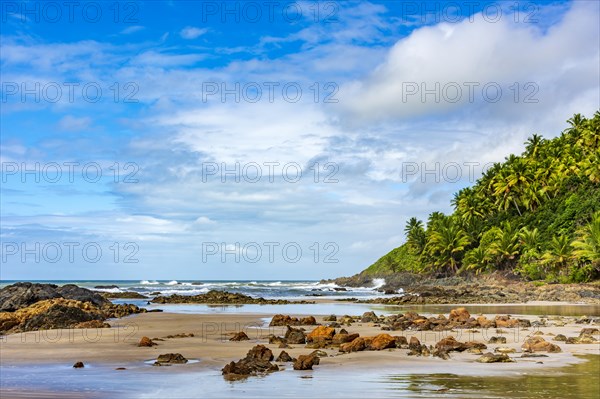 Deserted rocky beach called Prainha surrounded by coconut trees and vegetation located in the city of Serra Grande on the south coast of the state of Bahia